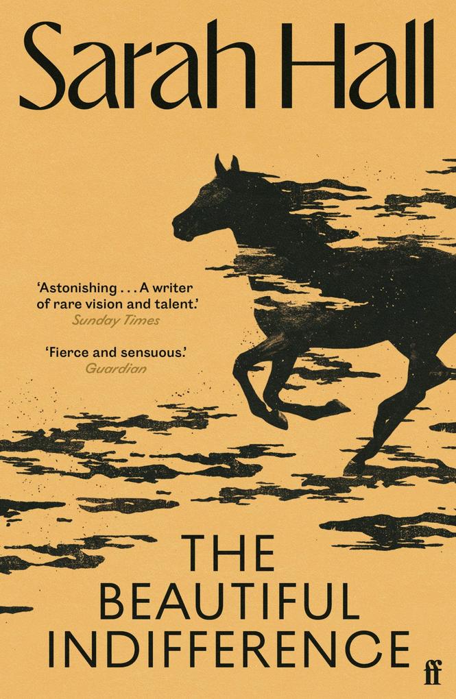 Produktbild: The Beautiful Indifference | Sarah Hall
