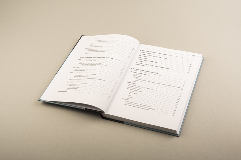 Weitere Ansicht: Die Stimme | Bernhard Richter