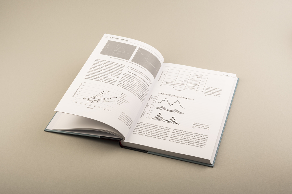 Weitere Ansicht: Die Stimme | Bernhard Richter