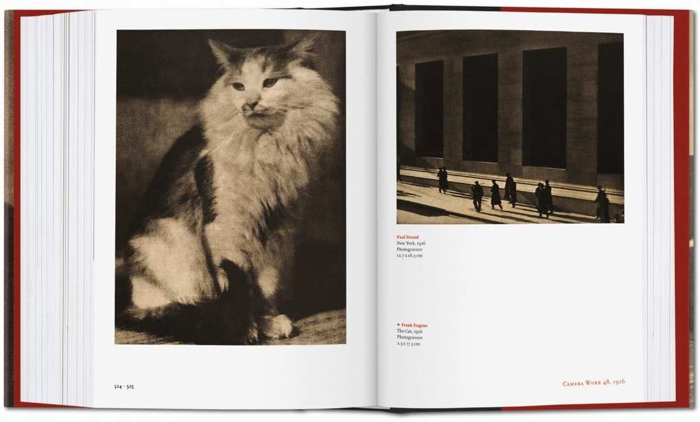 Weitere Ansicht: Alfred Stieglitz. Camera Work | Pam Roberts