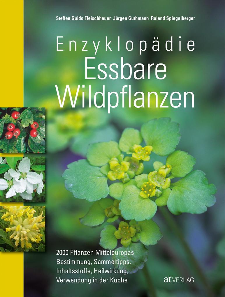 Produktbild: Enzyklopädie Essbare Wildpflanzen | Steffen Guido Fleischhauer, Roland Spiegelberger, Jürgen Guthmann