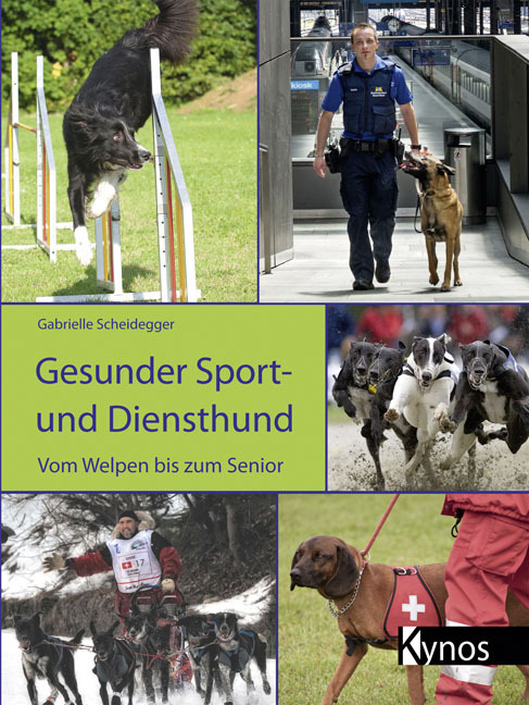 Produktbild: Gesunder Sport- und Diensthund | Gabrielle Scheidegger