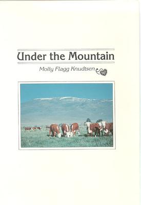 Under the Mountain als Buch (gebunden)