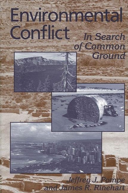 Environmental Conflict: In Search of Common Ground als Taschenbuch