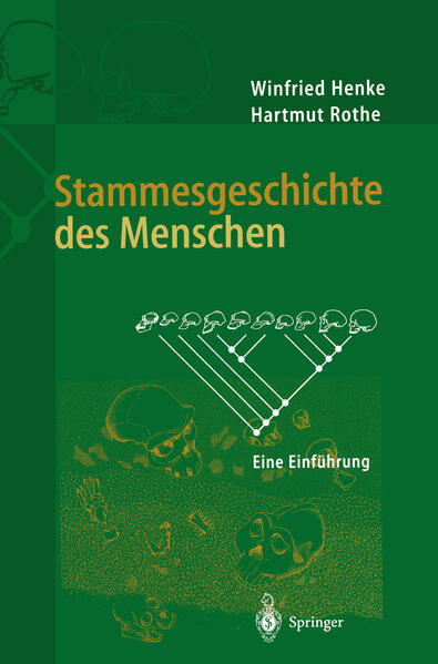 Produktbild: Stammesgeschichte des Menschen | Winfried Henke, Hartmut Rothe