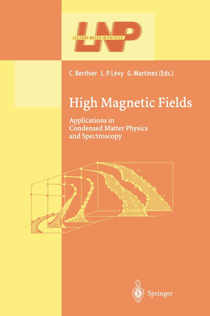 High Magnetic Fields als Buch (gebunden)