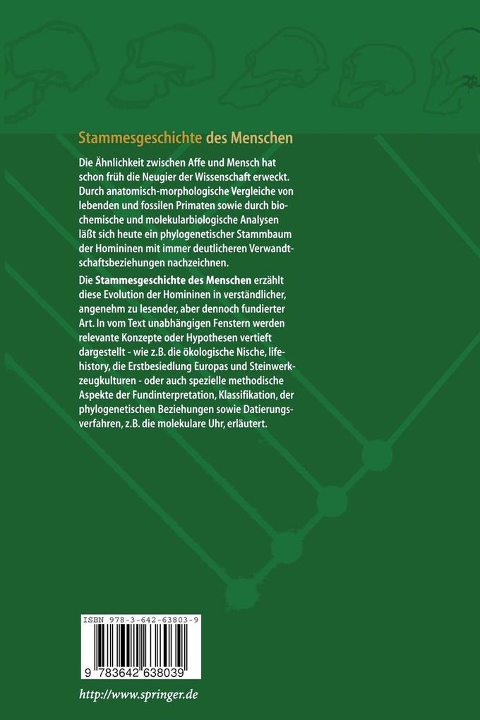 Weitere Ansicht: Stammesgeschichte des Menschen | Winfried Henke, Hartmut Rothe