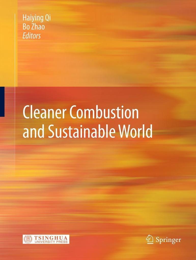Produktbild: Cleaner Combustion and Sustainable World