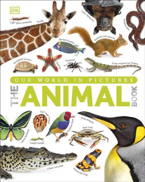 Produktbild: Our World in Pictures The Animal Book | DK