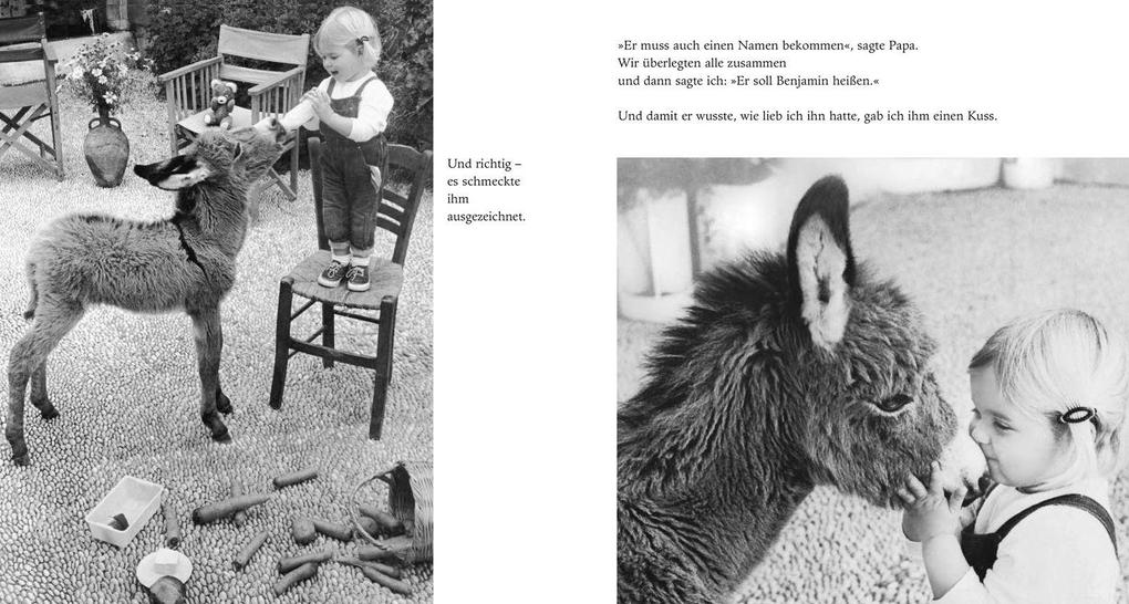 Weitere Ansicht: Mein Esel Benjamin | Hans Limmer, Lennart Osbeck