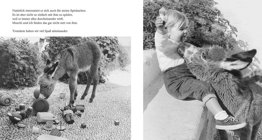 Weitere Ansicht: Mein Esel Benjamin | Hans Limmer, Lennart Osbeck