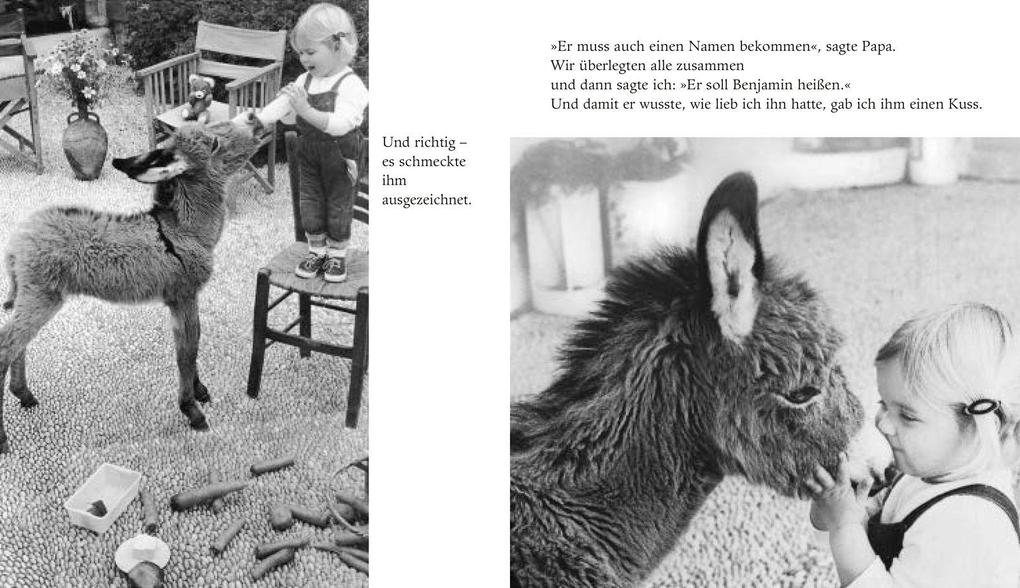 Weitere Ansicht: Mein Esel Benjamin (Mini-Ausgabe) | Hans Limmer, Lennart Osbeck