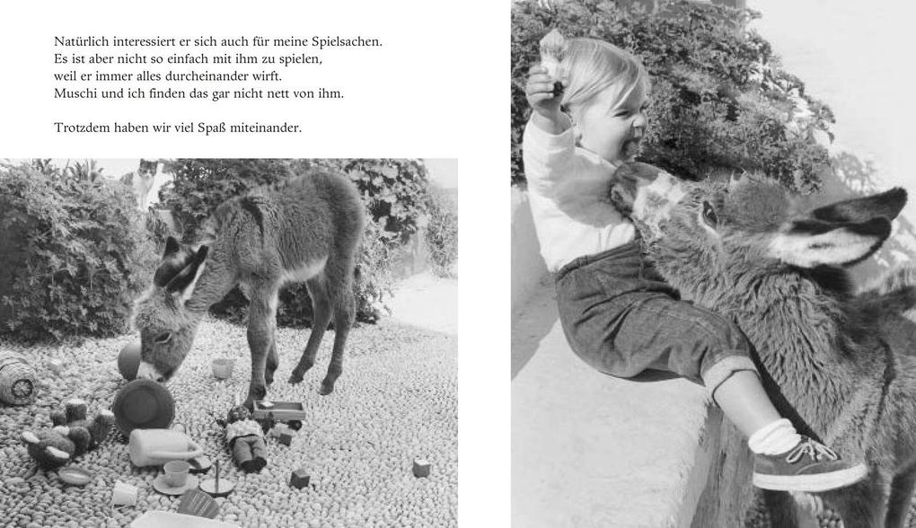Weitere Ansicht: Mein Esel Benjamin (Mini-Ausgabe) | Hans Limmer, Lennart Osbeck