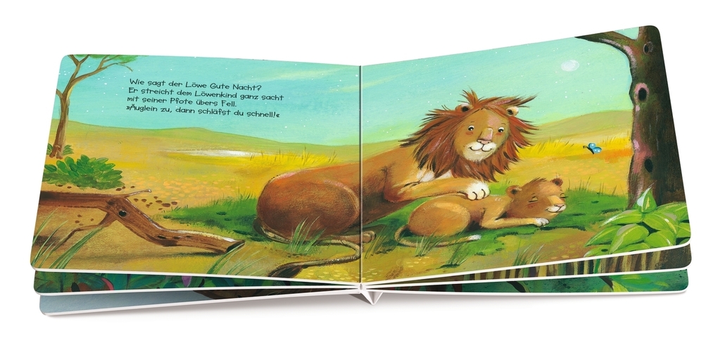 Weitere Ansicht: Wie kleine Tiere schlafen gehen | Anne-Kristin ZurBrügge, Marina Rachner, Anne-Kristin Zur Brügge