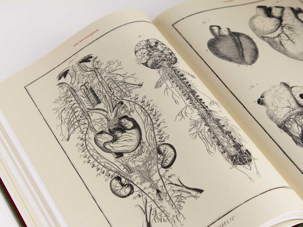 Weitere Ansicht: Diderots Enzyklopädie | Denis Diderot