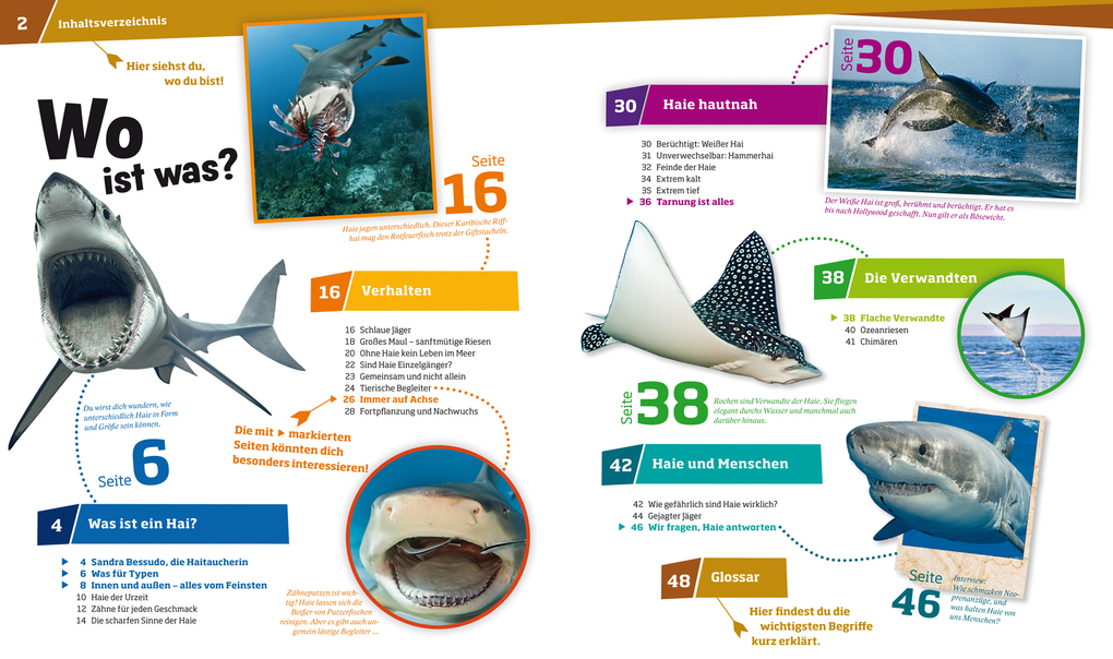 Weitere Ansicht: WAS IST WAS Band 95 Haie. Im Reich der schnellen Jäger | Manfred Baur