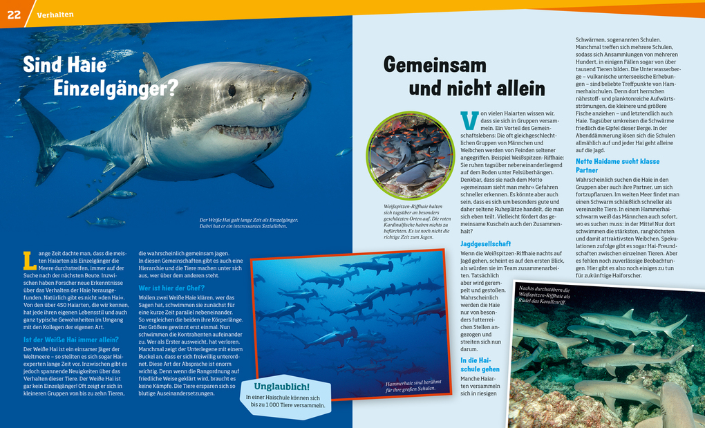 Weitere Ansicht: WAS IST WAS Band 95 Haie. Im Reich der schnellen Jäger | Manfred Baur