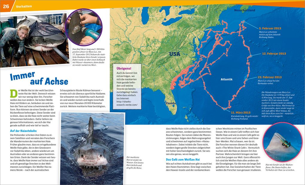 Weitere Ansicht: WAS IST WAS Band 95 Haie. Im Reich der schnellen Jäger | Manfred Baur