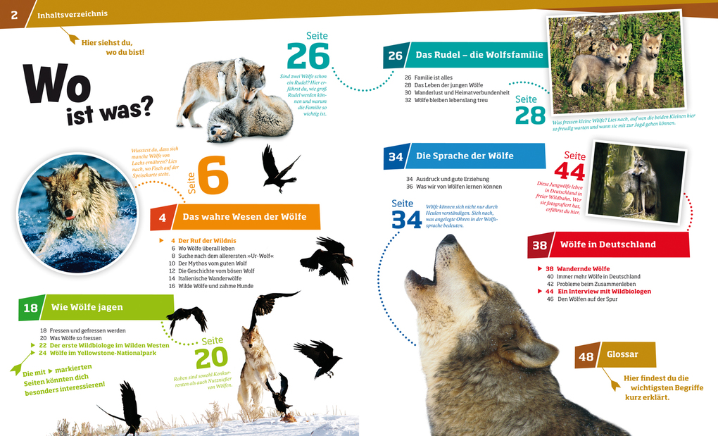 Weitere Ansicht: WAS IST WAS Band 104 Wölfe. Im Revier der grauen Jäger | Till Meyer