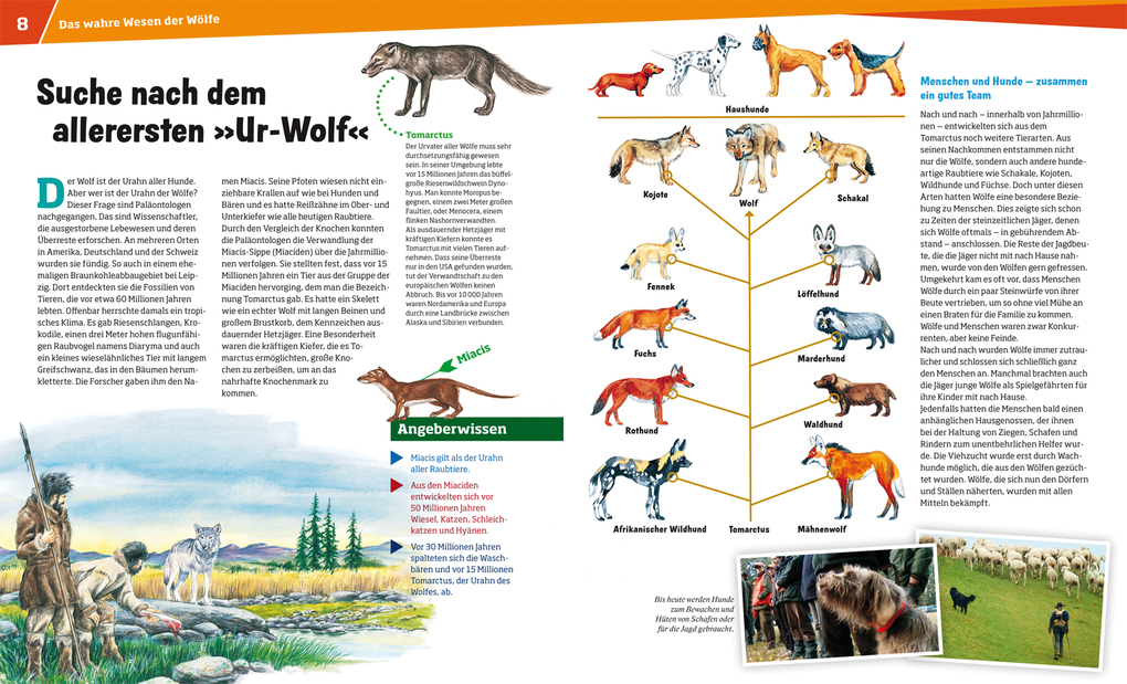 Weitere Ansicht: WAS IST WAS Band 104 Wölfe. Im Revier der grauen Jäger | Till Meyer