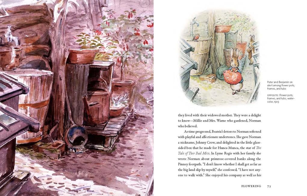 Weitere Ansicht: Beatrix Potter's Gardening Life | Marta McDowell