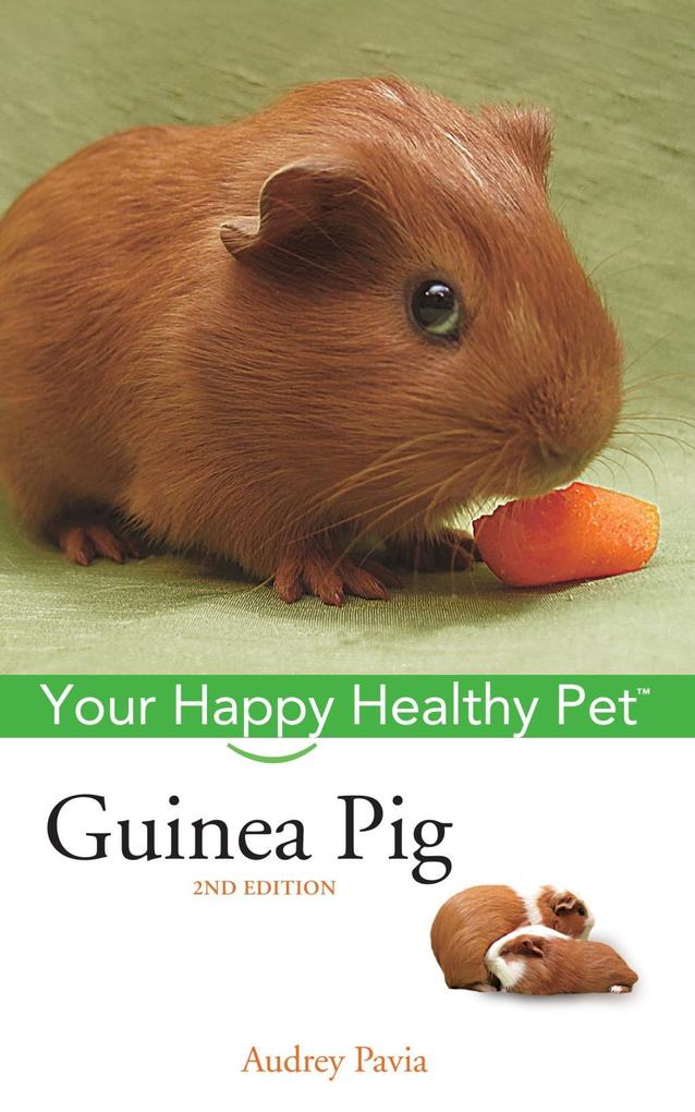 Produktbild: Guinea Pig | Audrey Pavia