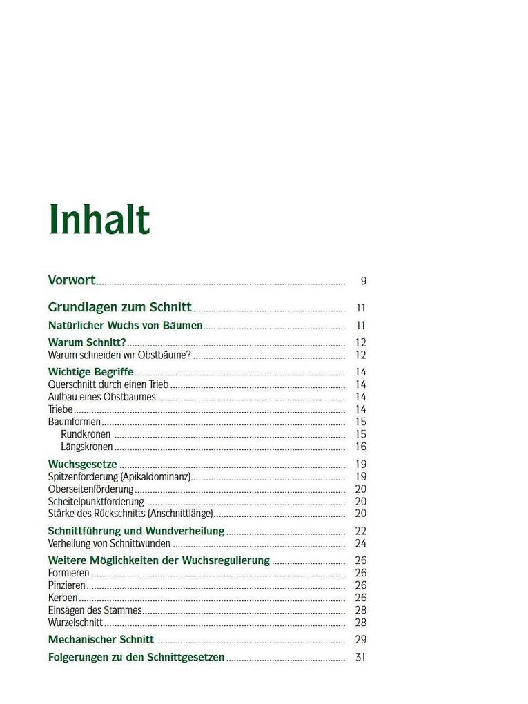 Weitere Ansicht: Der professionelle Obstbaumschnitt | Andreas Spornberger, Klemens Böck, Martin Filipp, Franz Kaltenberger, Stephanie Letzbor-Kalusch