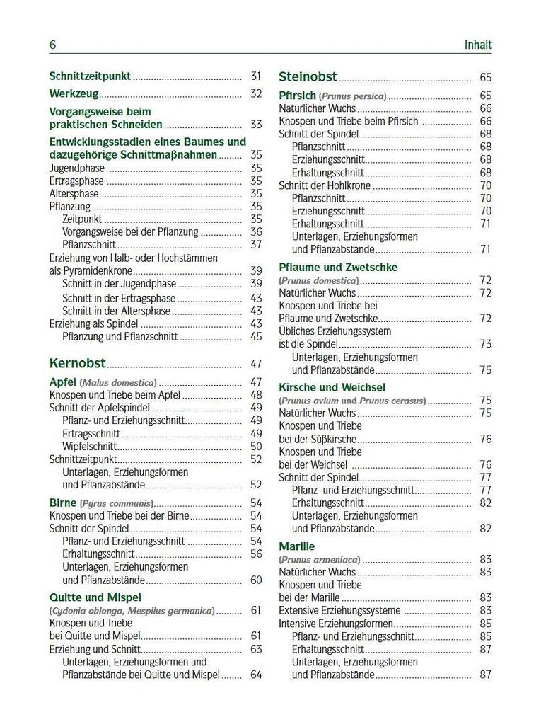 Weitere Ansicht: Der professionelle Obstbaumschnitt | Andreas Spornberger, Klemens Böck, Martin Filipp, Franz Kaltenberger, Stephanie Letzbor-Kalusch