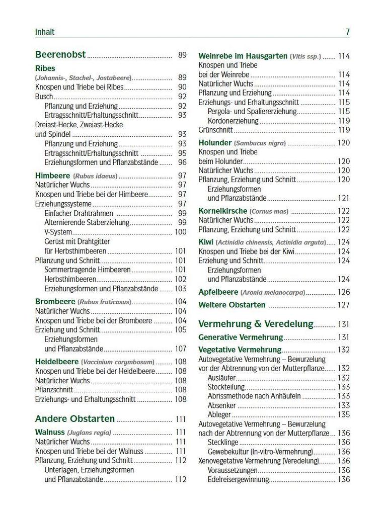 Weitere Ansicht: Der professionelle Obstbaumschnitt | Andreas Spornberger, Klemens Böck, Martin Filipp, Franz Kaltenberger, Stephanie Letzbor-Kalusch