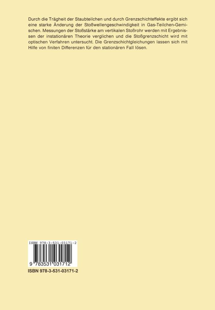 Weitere Ansicht: Grenzschichten in Gas-Teilchen-Strömungen hinter Stoßwellen | Martin Sommerfeld