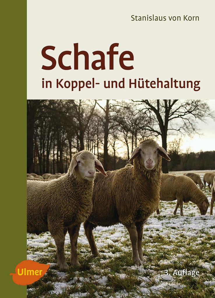 Produktbild: Schafe in Koppel- und Hütehaltung | Stanislaus von Korn, Ernst Kalm