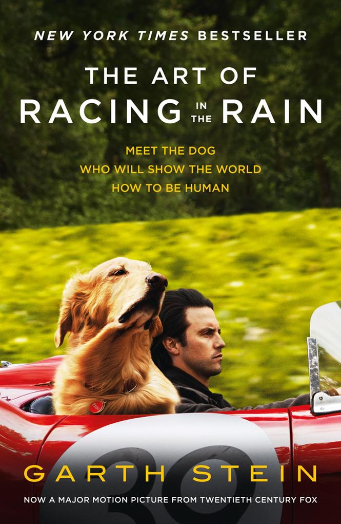 Produktbild: The Art of Racing in the Rain | Garth Stein