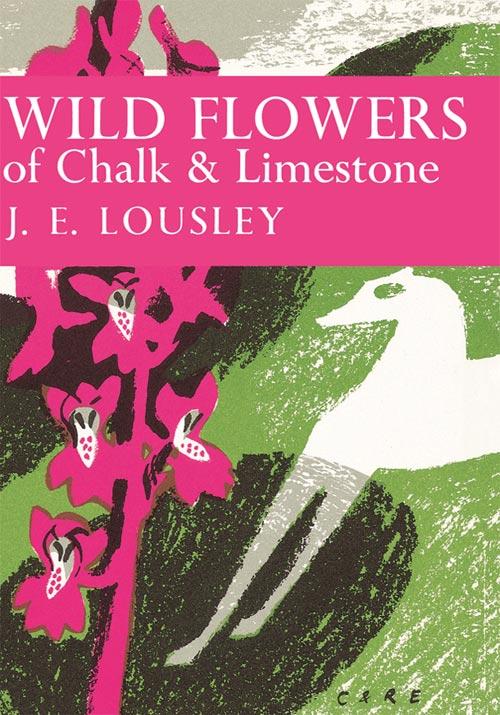 Produktbild: Wild Flowers of Chalk and Limestone | J. E. Lousley