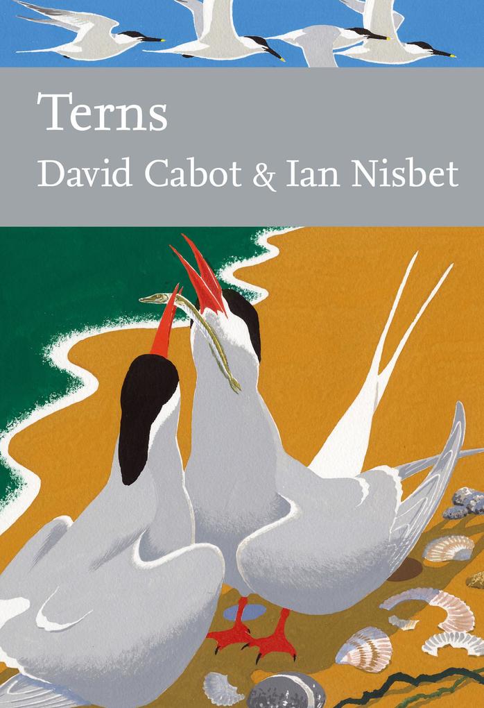 Produktbild: Terns | David Cabot, Ian Nisbet