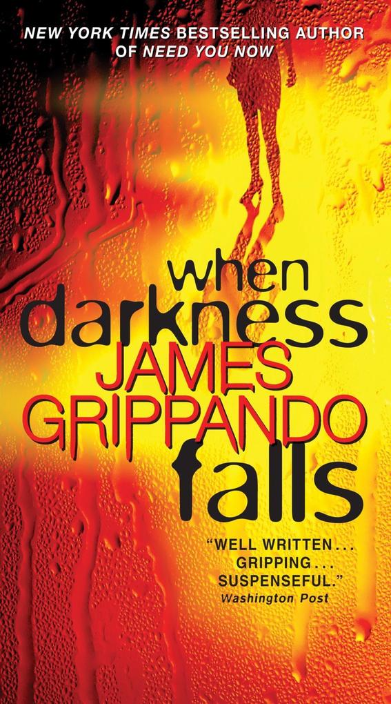 Produktbild: When Darkness Falls | James Grippando