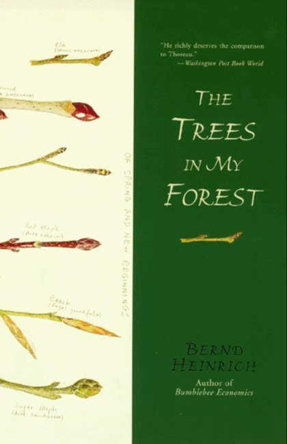 Produktbild: The Trees in My Forest | Bernd Heinrich