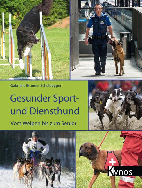 Produktbild: Gesunder Sport- und Diensthund | Gabrielle Scheidegger