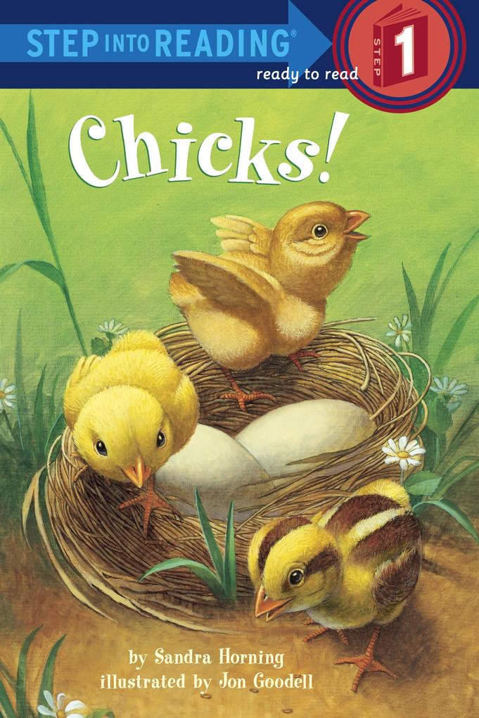 Produktbild: Chicks! | Sandra Horning