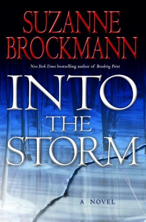 Produktbild: Into the Storm | Suzanne Brockmann