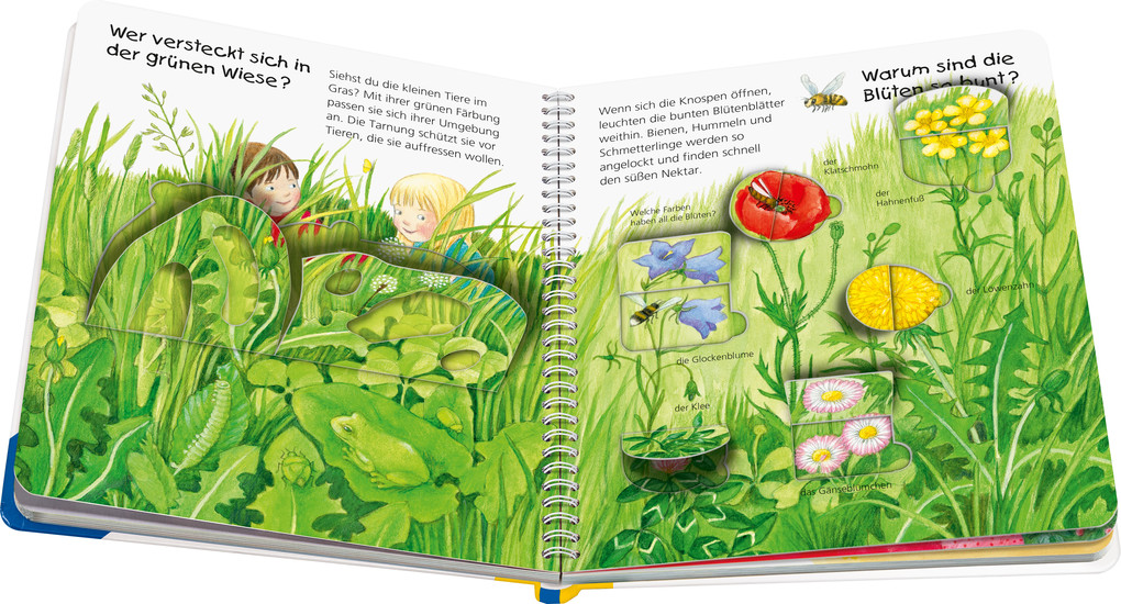 Weitere Ansicht: Wieso? Weshalb? Warum? junior, Band 13: Welche Farbe ist das? | Doris Rübel