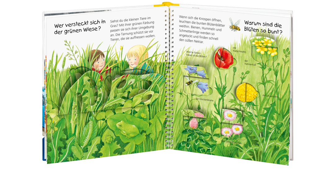 Weitere Ansicht: Wieso? Weshalb? Warum? junior, Band 13: Welche Farbe ist das? | Doris Rübel