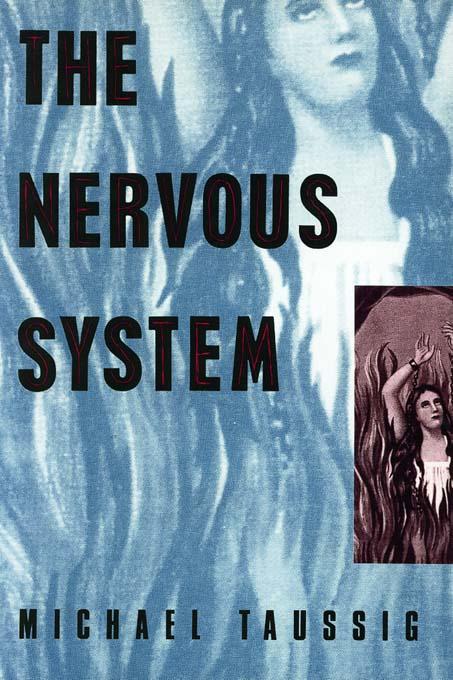 Produktbild: The Nervous System | Michael Taussig