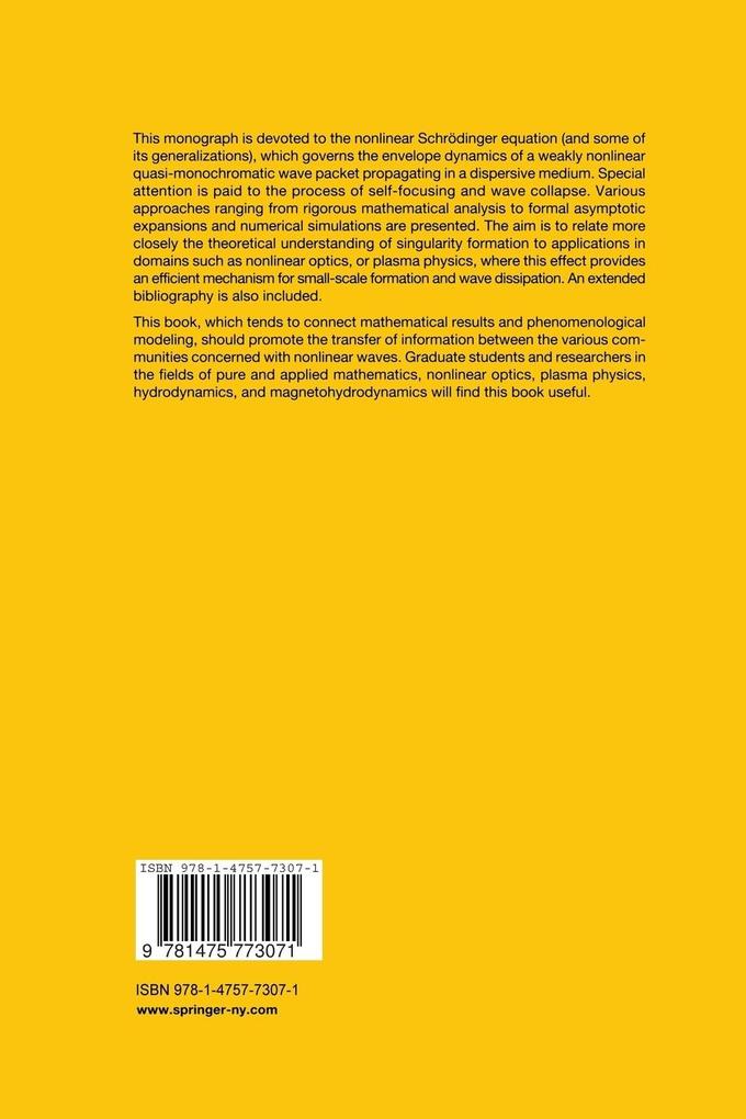 Weitere Ansicht: The Nonlinear Schrödinger Equation | Catherine Sulem, Pierre-Louis Sulem