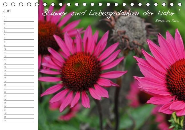 Weitere Ansicht: Beflügelt (Tischkalender immerwährend DIN A5 quer) | Alexandra Loos