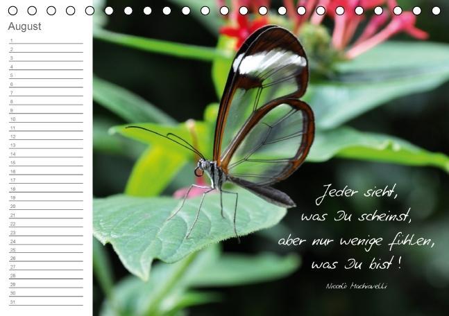Weitere Ansicht: Beflügelt (Tischkalender immerwährend DIN A5 quer) | Alexandra Loos