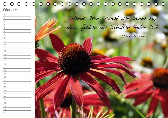 Weitere Ansicht: Beflügelt (Tischkalender immerwährend DIN A5 quer) | Alexandra Loos