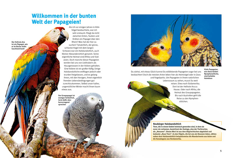 Weitere Ansicht: Entdecke die Papageien | Thomas Schmidt