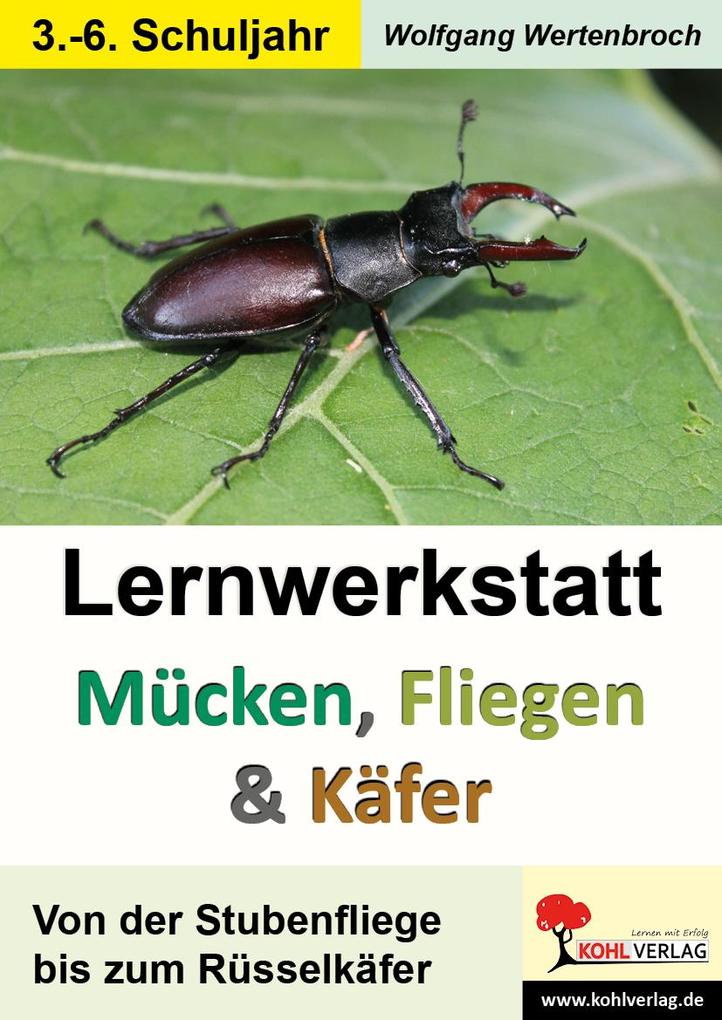 Produktbild: Lernwerkstatt Mücken, Fliegen und Käfer | Wolfgang Wertenbroch
