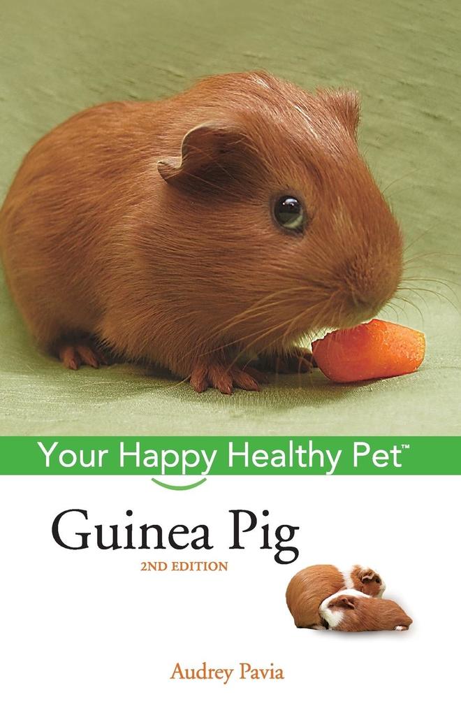 Produktbild: Guinea Pig | Audrey Pavia