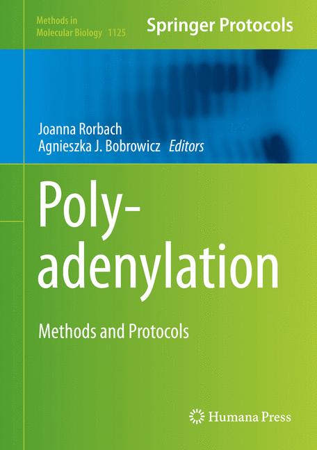 Weitere Ansicht: Polyadenylation